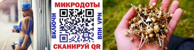 Галлюциногенные грибы мухоморы  hydra ТОР  Островной 