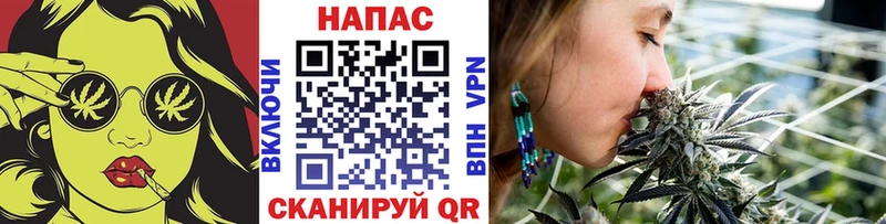Канабис сатива  Островной 